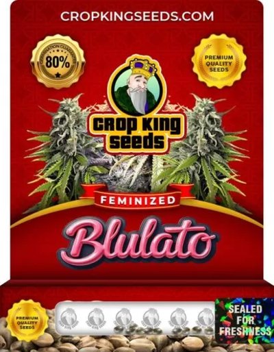 Blulato