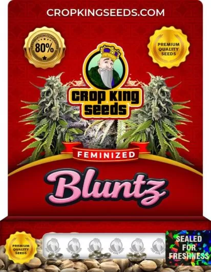 bluntz-image