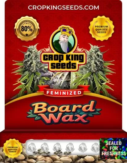 board-wax-image