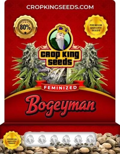Bogeyman
