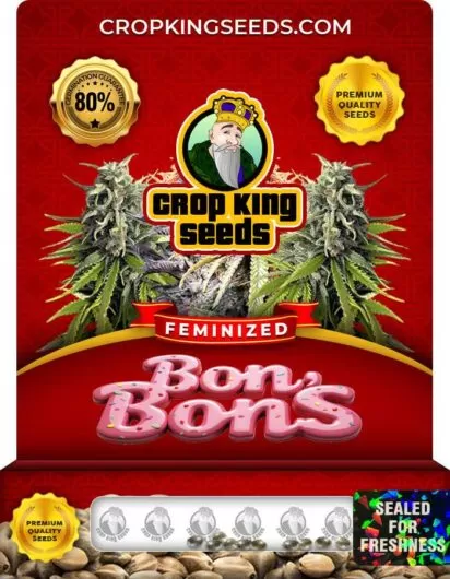 bon-bons-image