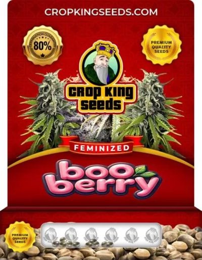 Boo Berry