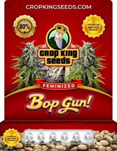 Bop Gun