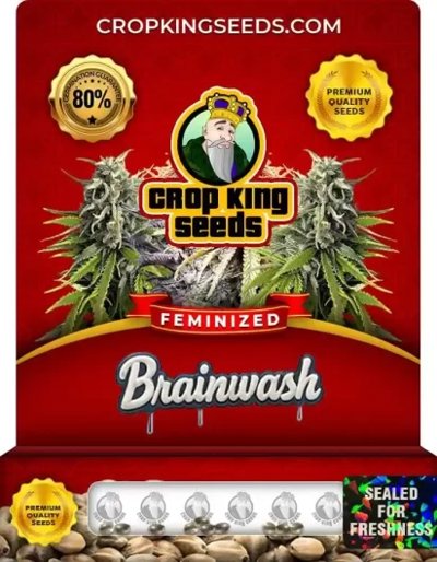 Brainwash Hybrid