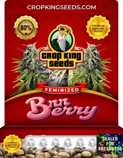Brr Berry