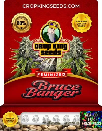 bruce-banger-image