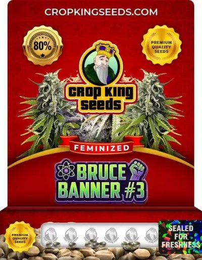 Bruce Banner #3