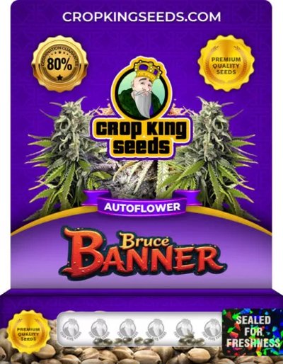 Bruce Banner Autoflowering