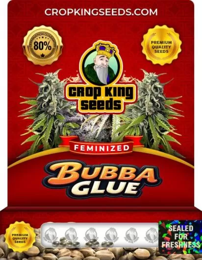 bubba-glue-image