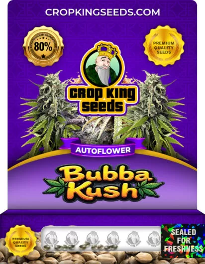 bubba-kush-autoflowering-image