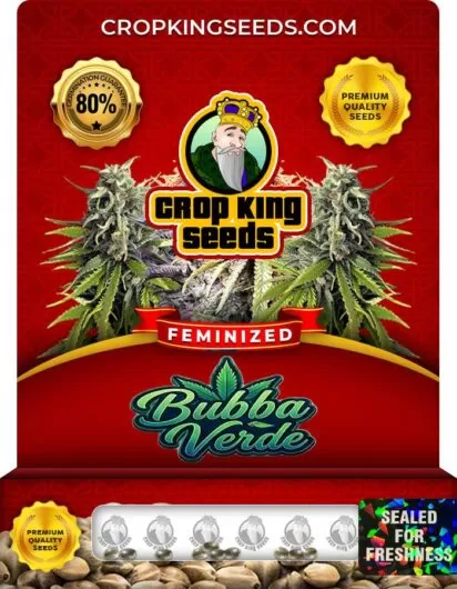 bubba-verde-image