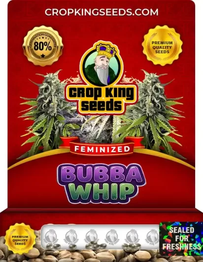 bubba-whip-image