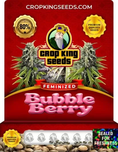 bubble-berry-image