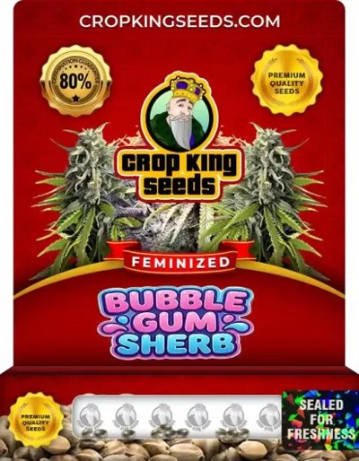 Bubble Gum Sherb