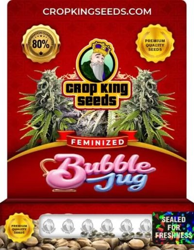 Bubble Jug