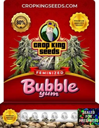 Bubble Yum