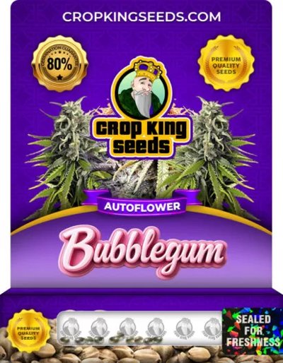 Bubblegum Autoflowering