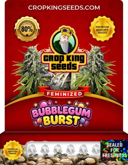 bubblegum-burst-image