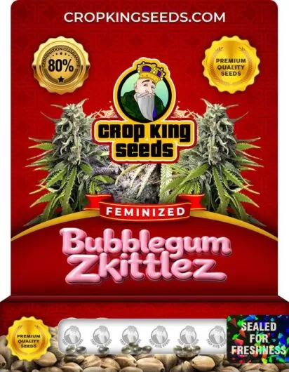 bubblegum-zkittlez-image