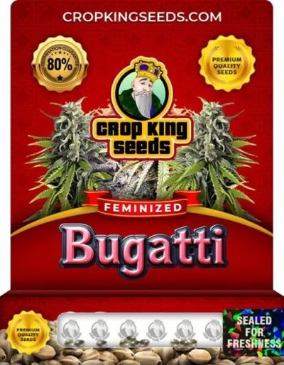 Bugatti