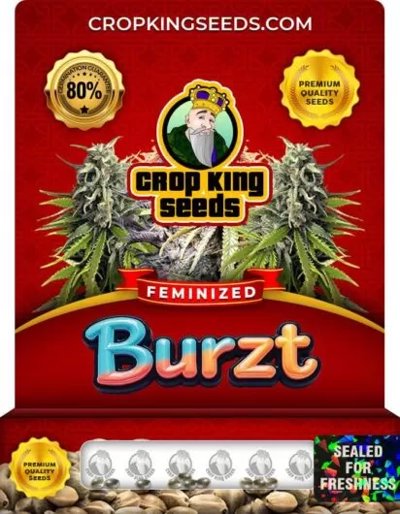 Burzt