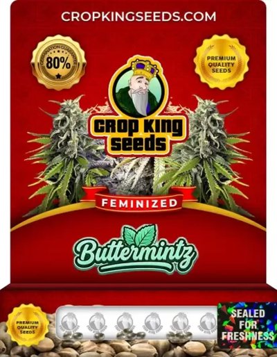 Buttermintz