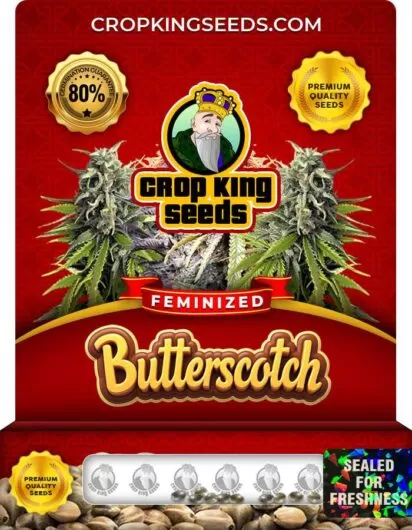butterscotch-image