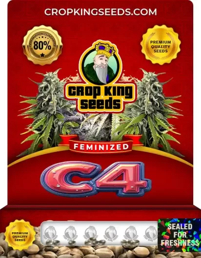 c4-image