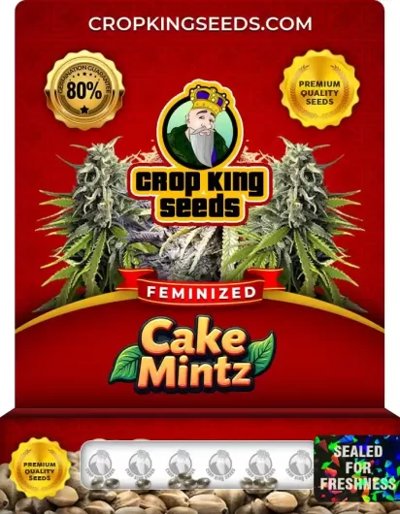 Cake Mintz