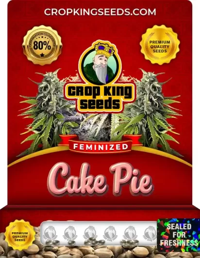 cake-pie-image