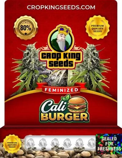 Cali Burger