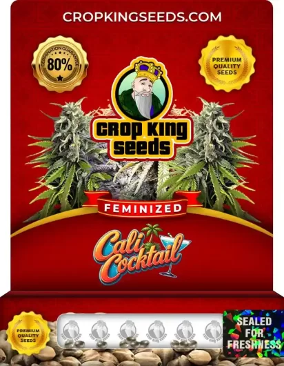cali-cocktail-image