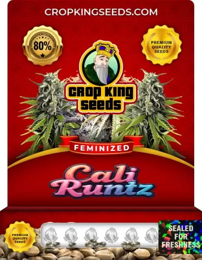 cali-runtz-image