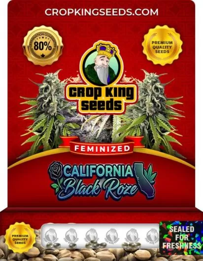 california-black-roze-image