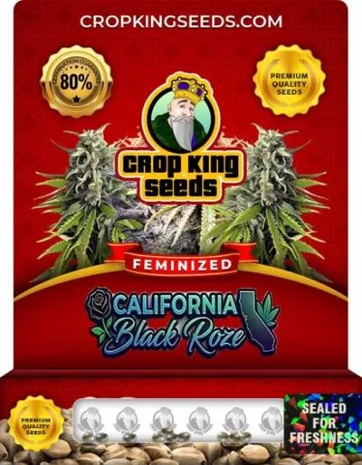 California Black Roze