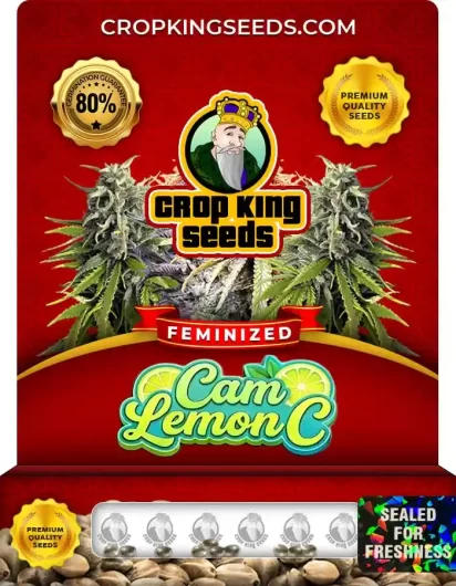 cam-lemon-c-image
