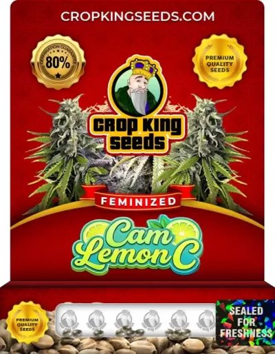 Cam Lemon C