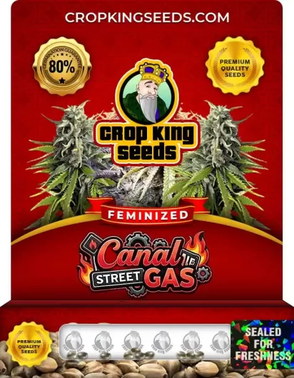 canal-street-gas-image