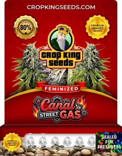 Canal Street Gas