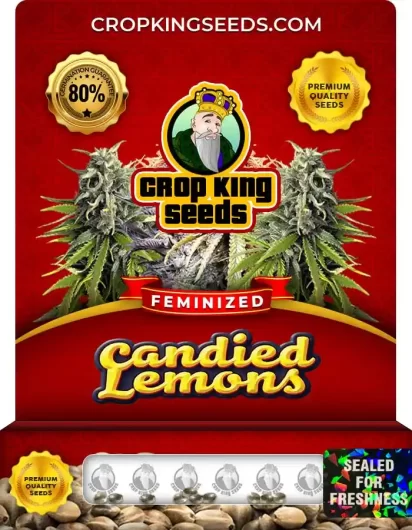 candied-lemons-image