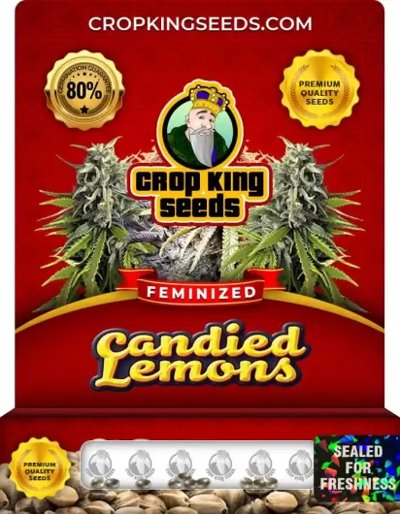 Candied Lemons