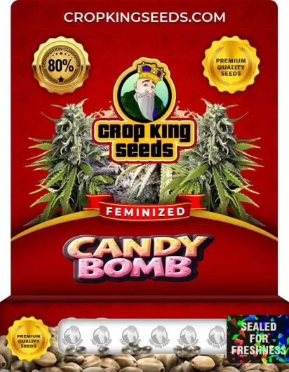 candy-bomb-image