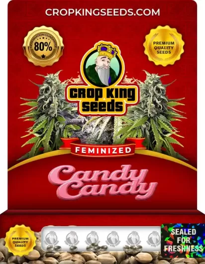 candy-candy-image