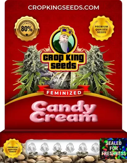 candy-cream-image