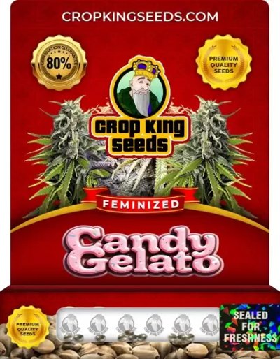 Candy Gelato
