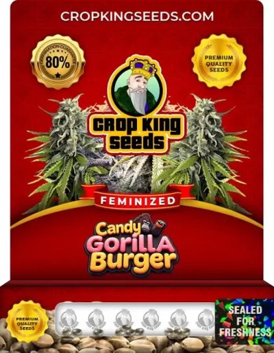 Candy Gorilla Burger