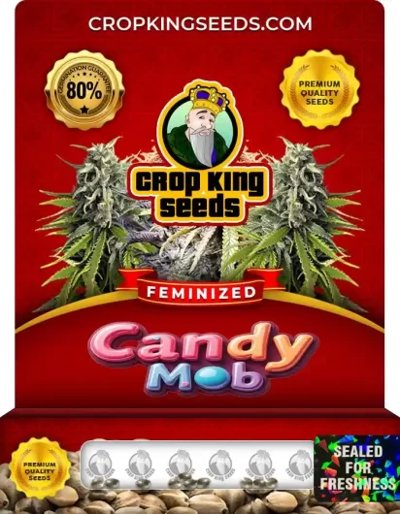Candy Mob