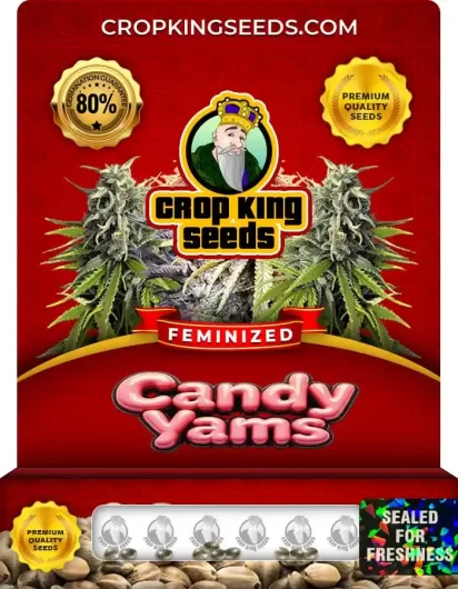 candy-yams-image