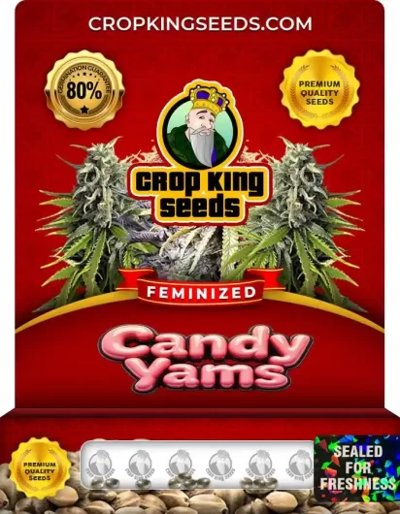 Candy Yams