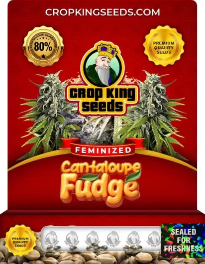 cantaloupe-fudge-image